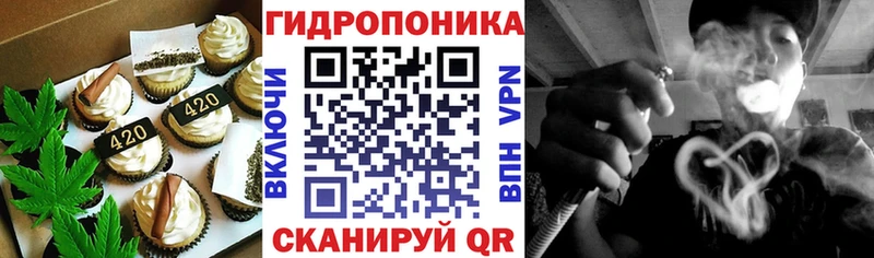 Купить  Урус-Мартан  Canna-Cookies конопля 